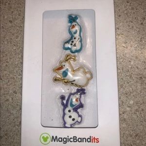 MagicBandITS